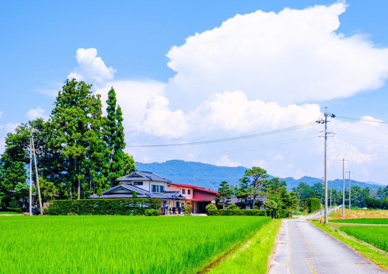 田んぼの土地